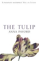   The Tulip