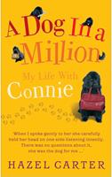   A Dog in a Million
