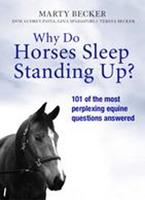   Why Do Horses Sleep Standing Up?