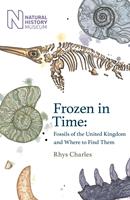   Frozen in Time