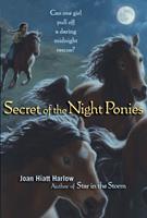   Secret of the Night Ponies
