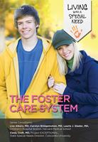   The Foster Care System