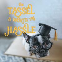   The Tassel Is Worth the Hassle