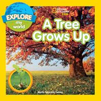 Explore My World A Tree Grows Up