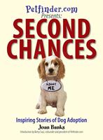   Second Chances