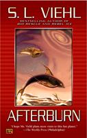  Afterburn
