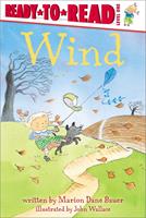   Wind