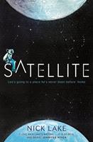   Satellite