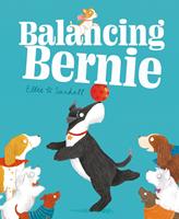   Balancing Bernie