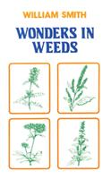   Wonders In Weeds
