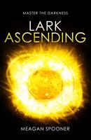   Lark Ascending