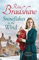   Snowflakes in the Wind