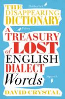   The Disappearing Dictionary
