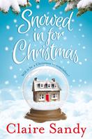   Snowed in for Christmas