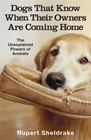   Dogs That Know When Their Owners Are Coming Home