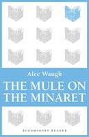   The Mule on the Minaret