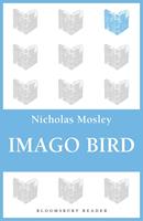   Imago Bird