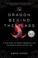   The Dragon Behind the Glass