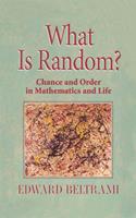   What Is Random?