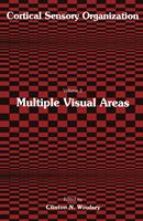   Multiple Visual Areas