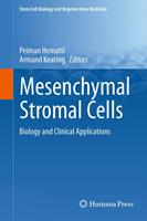   Mesenchymal Stromal Cells