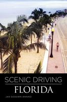   Scenic Driving Florida