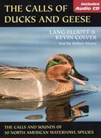   Calls of Ducks & Geese