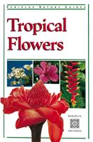   Tropical Flowers