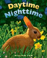   Daytime Nighttime