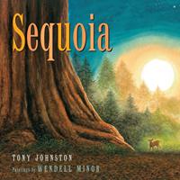   Sequoia