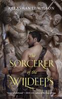   The Sorcerer of the Wildeeps