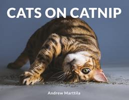  Cats on Catnip