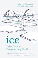   Ice
