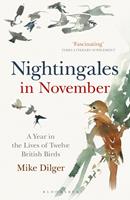   Nightingales in November