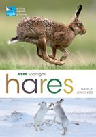   RSPB Spotlight Hares