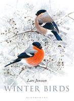   Winter Birds