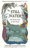   Still Water