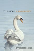   The Swan
