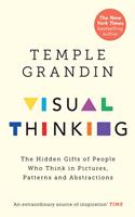   Visual Thinking