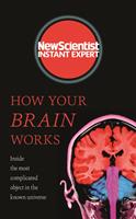   How Your Brain Works