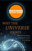   Why the Universe Exists