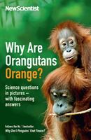   Why Are Orangutans Orange?