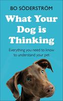   What Your Dog Is Thinking