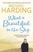   What is Beautiful in the Sky