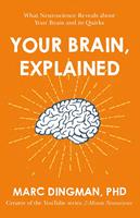   Your Brain, Explained