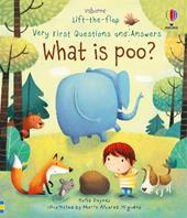 Lift-the-flap. First questions and answers. What is poo? Ediz. a colori