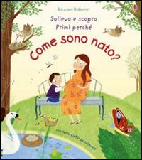 Come sono nato? Ediz. illustrata - Katie Daynes, Christine Pym - Libro Usborne 2016, Sollevo e scopro. Primi perché | Libraccio.it