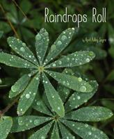   Raindrops Roll