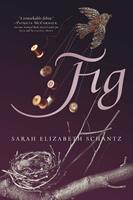   Fig