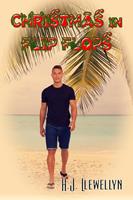   Christmas In Flip Flops